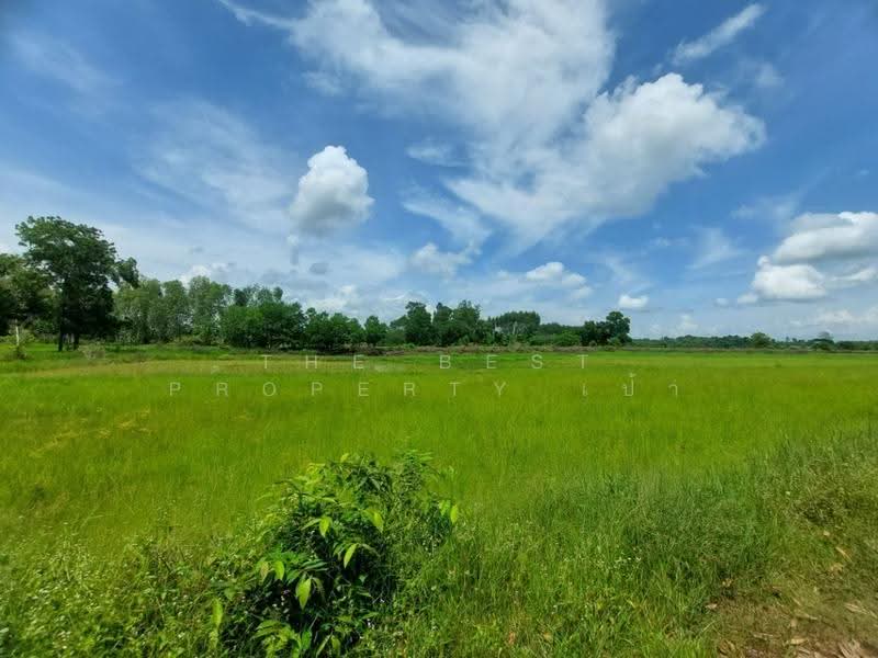 ที่ดินเพ็ญ อุดรธานี, อุดรธานี, จอมศรี, เพ็ญ, อุดรธานี, 30,932 ตร.ม., ที่ดิน ขาย, โดย The Best Property เป้า, 500573485 - DDproperty.com