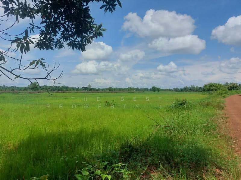 ที่ดินเพ็ญ อุดรธานี, อุดรธานี, จอมศรี, เพ็ญ, อุดรธานี, 30,932 ตร.ม., ที่ดิน ขาย, โดย The Best Property เป้า, 500573485 - DDproperty.com