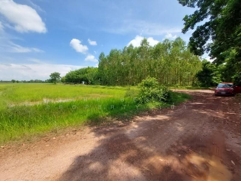 ที่ดินเพ็ญ อุดรธานี, udon-thani, Chom Sri, Phen, Udon Thani, , 30,932 sqm, Land For Sale, by The Best Property เป้า, 500573485 - DDproperty.com