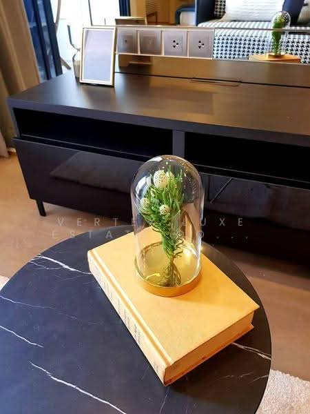 ASHTON Chula-Silom, Bangkok, Rama 4 Road, Si Phraya, Bang Rak, Bangkok, 1 Bedroom, 35 sqm, Condo For Rent, by Vertex Luxe Estate Co.,LTD, 500573496 - DDproperty.com