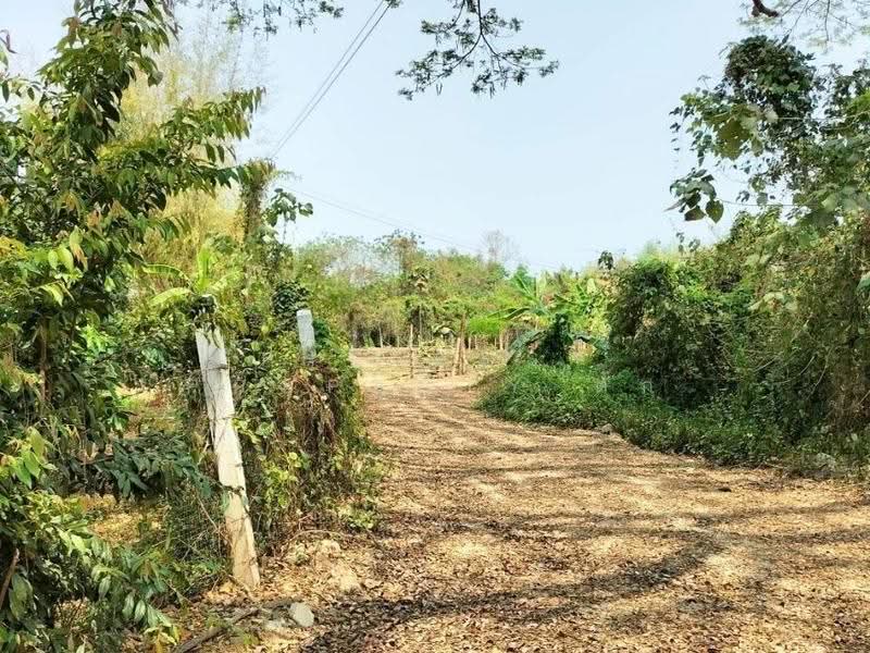 ที่ดินเชียงแสน เชียงราย, เชียงราย, ศรีดอนมูล, เชียงแสน, เชียงราย, 10,032 ตร.ม., ที่ดิน ขาย, โดย The Best Property ตั๊ก, 500573500 - DDproperty.com