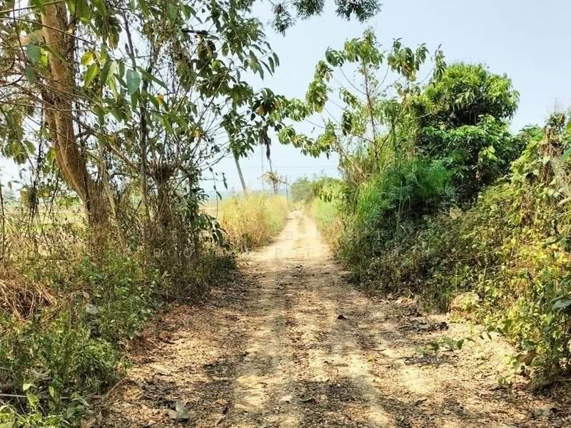 ที่ดินเชียงแสน เชียงราย, เชียงราย, ศรีดอนมูล, เชียงแสน, เชียงราย, 10,032 ตร.ม., ที่ดิน ขาย, โดย The Best Property ตั๊ก, 500573500 - DDproperty.com