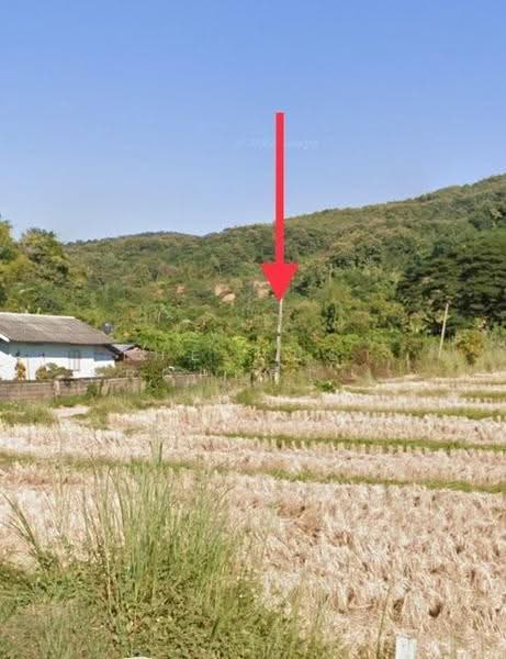 ที่ดินเชียงแสน เชียงราย, Chiang Rai, Sri Don Mun, Chiang Saen, Chiang Rai, , 10,032 sqm, Land For Sale, by The Best Property ตั๊ก, 500573500 - DDproperty.com