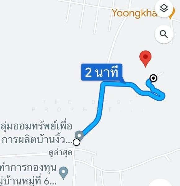 ที่ดินเชียงแสน เชียงราย, Chiang Rai, Sri Don Mun, Chiang Saen, Chiang Rai, , 10,032 sqm, Land For Sale, by The Best Property ตั๊ก, 500573500 - DDproperty.com
