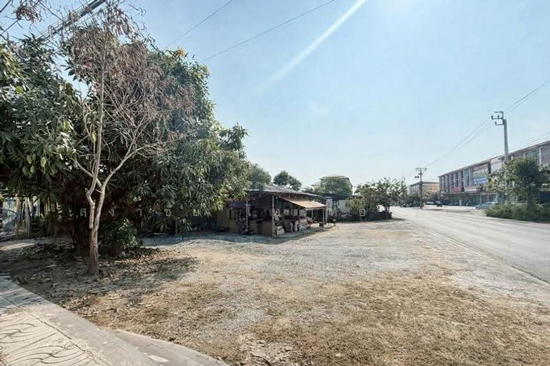 ไทรน้อย, Nonthaburi, บางกรวย-ไทรน้อย, Khlong Khwang, Sai Noi, Nonthaburi, , 784 sqm, Land For Sale, by สง่าชัย ไทรทองคำ, 500573569 - DDproperty.com