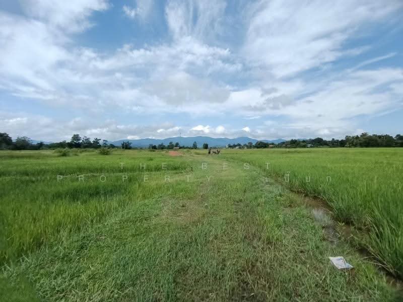 ที่ดินไชยสถาน น่าน, น่าน, ไชยสถาน, เมืองน่าน, น่าน, 1,152 ตร.ม., ที่ดิน ขาย, โดย The Best Property เปี๊ยก, 500573594 - DDproperty.com