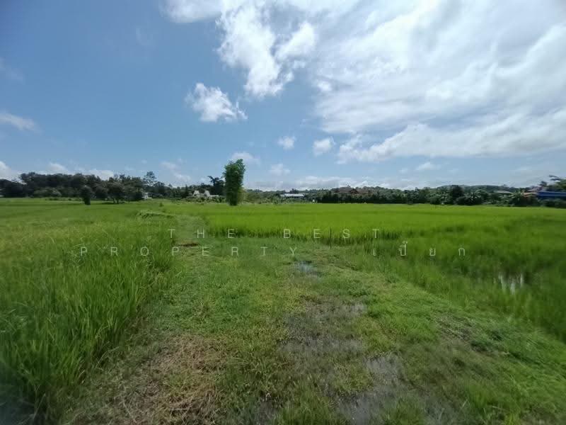 ที่ดินไชยสถาน น่าน, น่าน, ไชยสถาน, เมืองน่าน, น่าน, 1,152 ตร.ม., ที่ดิน ขาย, โดย The Best Property เปี๊ยก, 500573594 - DDproperty.com