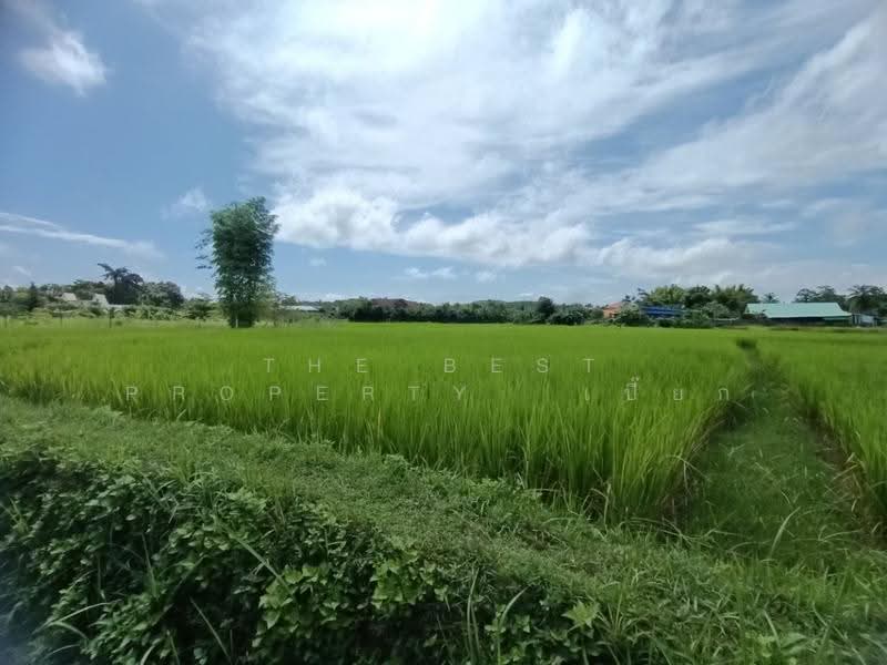 ที่ดินไชยสถาน น่าน, nan, Chaiya Sathan, Muang Nan, Nan, , 1,152 sqm, Land For Sale, by The Best Property เปี๊ยก, 500573594 - DDproperty.com