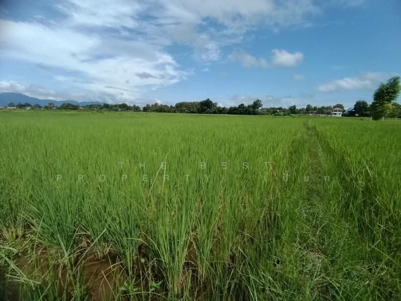 ที่ดินไชยสถาน น่าน, nan, Chaiya Sathan, Muang Nan, Nan, , 1,152 sqm, Land For Sale, by The Best Property เปี๊ยก, 500573594 - DDproperty.com