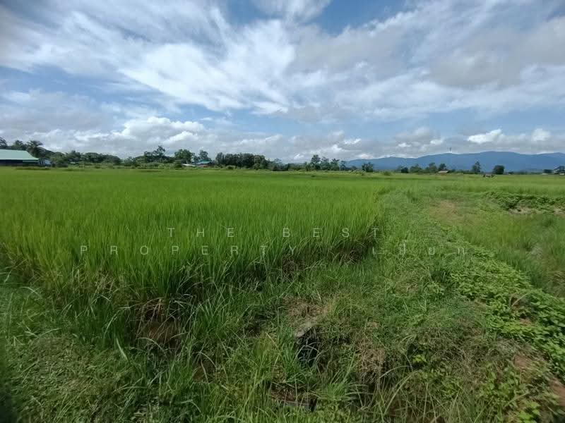 ที่ดินไชยสถาน น่าน, nan, Chaiya Sathan, Muang Nan, Nan, , 1,152 sqm, Land For Sale, by The Best Property เปี๊ยก, 500573594 - DDproperty.com