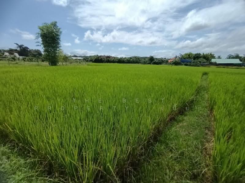 ที่ดินไชยสถาน น่าน, น่าน, ไชยสถาน, เมืองน่าน, น่าน, 1,152 ตร.ม., ที่ดิน ขาย, โดย The Best Property เปี๊ยก, 500573594 - DDproperty.com