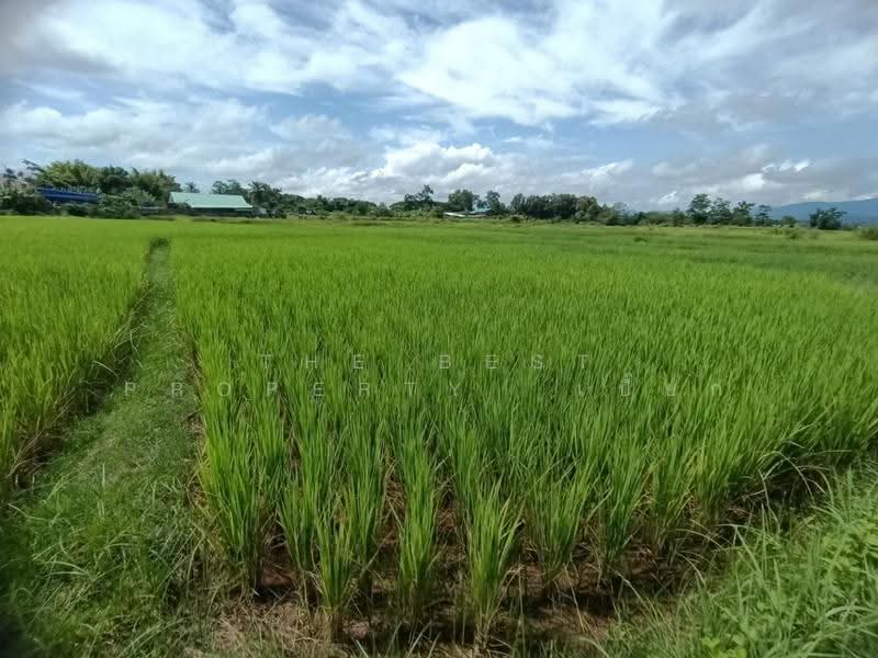 ที่ดินไชยสถาน น่าน, nan, Chaiya Sathan, Muang Nan, Nan, , 1,152 sqm, Land For Sale, by The Best Property เปี๊ยก, 500573594 - DDproperty.com