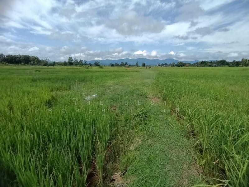 ที่ดินไชยสถาน น่าน, น่าน, ไชยสถาน, เมืองน่าน, น่าน, 1,152 ตร.ม., ที่ดิน ขาย, โดย The Best Property เปี๊ยก, 500573594 - DDproperty.com