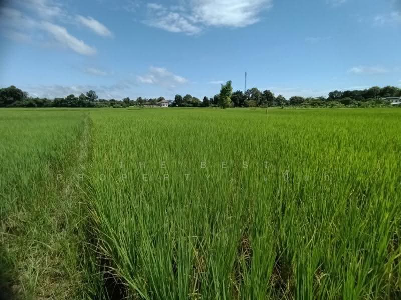 ที่ดินไชยสถาน น่าน, nan, Chaiya Sathan, Muang Nan, Nan, , 1,152 sqm, Land For Sale, by The Best Property เปี๊ยก, 500573594 - DDproperty.com