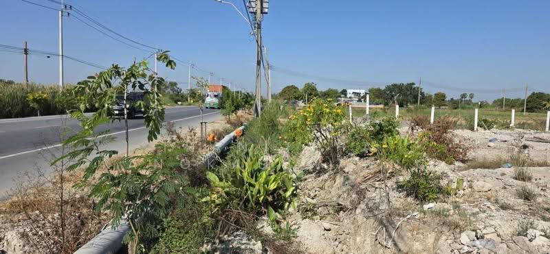 ที่ดินทับยาว ถนนเลียบคลองมอญ ลาดกระบัง, Bangkok, Thab Yao, Lat Krabang, Bangkok, , 2,524 sqm, Land For Sale, by Thanitcha Kangkasuwanno, 500573636 - DDproperty.com