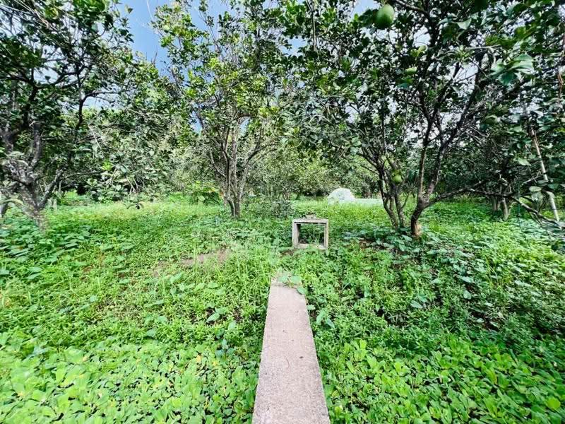 บ้านเดี่ยวพร้อมที่ดินอัมพวา สมุทรสงคราม, samut-songkhram, Bang Nang Li, Amphawa, Samut Songkhram, 1 Bedroom, 100 sqm, Single Detached House For Sale, by The Best Property กิ๊ก, 500573667 - DDproperty.com