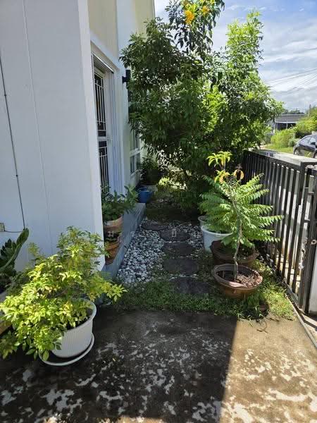 ขายบ้านเดี่ยว โซนดอยสะเก็ด, chiang-mai, Sam Ran Rat, Doi Saket, Chiang Mai, 2 Bedrooms, 85 sqm, Single Detached House For Sale, by อามร ยืนยง, 500573926 - DDproperty.com