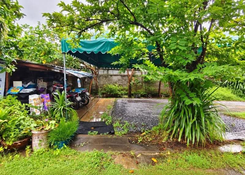 ที่ดินกระทุ่มแบน สมุทรสาคร, สมุทรสาคร, สวนหลวง, กระทุ่มแบน, สมุทรสาคร, 191 ตร.ม., ที่ดิน ขาย, โดย The Best Property  จิฟฟี่, 500573943 - DDproperty.com