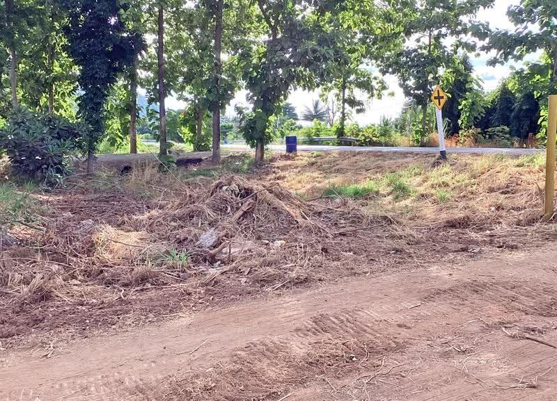 ที่ดินพัฒนานิคม ลพบุรี, Lop Buri, Chong Sarika, Phatthana Nikhom, Lop Buri, , 6,400 sqm, Land For Sale, by The Best Property เป้, 500574019 - DDproperty.com