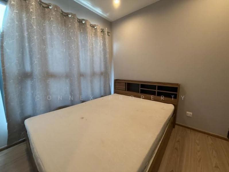 The Tree Hua Mak, Bangkok, Ramkhamhaeng Road, Hua Mak, Bang Kapi, Bangkok, 1 Bedroom, 28 sqm, Condo For Rent, by Connex Property, 500574048 - DDproperty.com