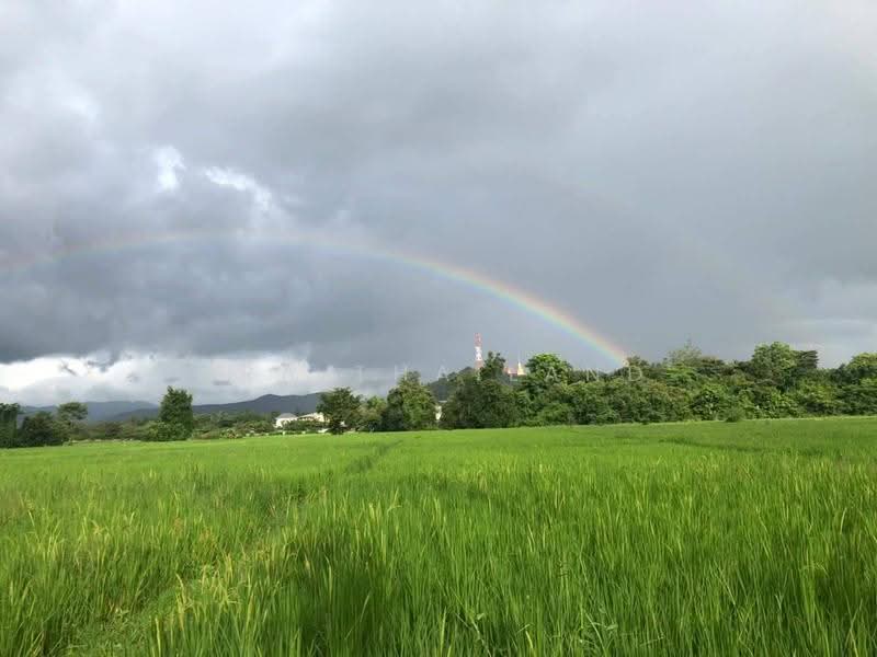 ขายที่ดินแปลงสวยผืนใหญ่ 26-3-47 ไร่ ดอยเต่า, เชียงใหม่, ดอยเต่า, เชียงใหม่, 42,988 ตร.ม., ที่ดิน ขาย, โดย ERA Thailand, 500574049 - DDproperty.com