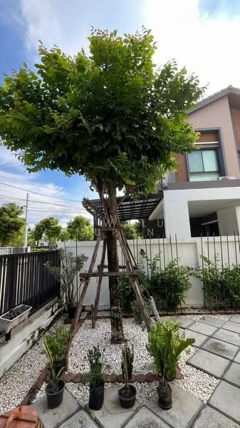 Vario Maison Bangna-Suvarnabhumi : Vario Maison บางนา-สุวรรณภูมิ, สมุทรปราการ, 99 ถ.ศรีวารีน้อย, ศีรษะจรเข้น้อย, บางเสาธง, สมุทรปราการ, 200 ตร.ม., บ้านเดี่ยว ขาย, โดย Saowaluk Anupong, 500574238 - DDproperty.com
