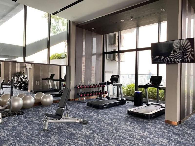 Siamese Exclusive Queens, Bangkok, 388 Phai Singto Alley, Khlong Toei, Bangkok, 1 Bedroom, 58 sqm, Condo For Rent, by Nat Tantirapan, 500574331 - DDproperty.com
