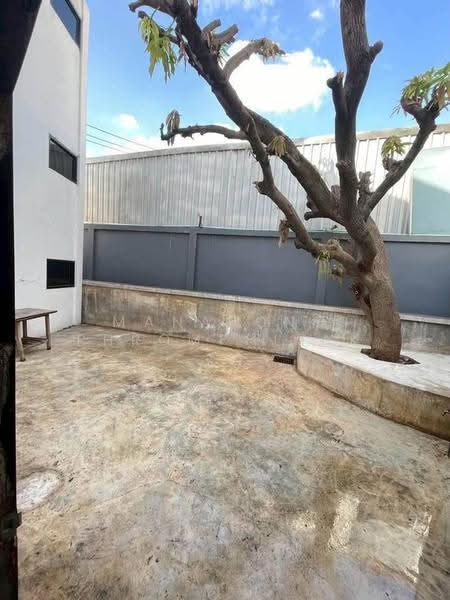 2-BR House, Bangkok, Bang Na Nuea, Bang Na, Bangkok, 2 Bedrooms, 224 sqm, Single Detached House For Rent, by Manapong Phromphitak, 500574378 - DDproperty.com