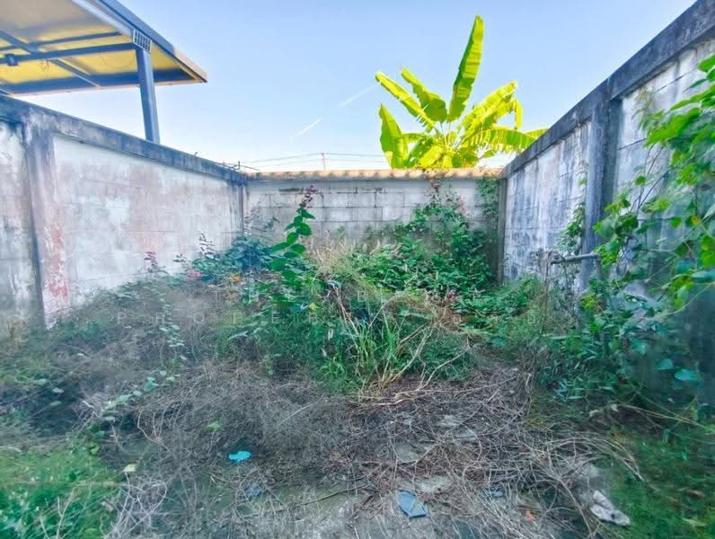 หมู่บ้านทองสุข พุทธมณฑล, นครปฐม, คลองโยง, พุทธมณฑล, นครปฐม, 100 ตร.ม., ทาวน์เฮ้าส์ ขาย, โดย The Best Property อิ๋วอิ๋ว, 500574465 - DDproperty.com