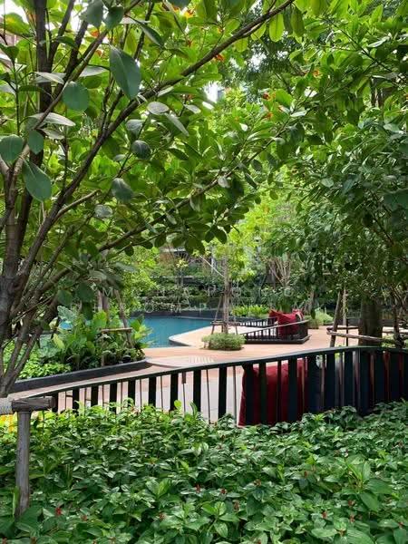 Mori Haus : โมริ เฮาส์, กรุงเทพ, ซอยอ่อนนุช 1/1 ถนนสุขุมวิท 77, พระโขนงเหนือ, วัฒนา, กรุงเทพ, 67 ตร.ม., คอนโด ให้เช่า, โดย Manapong Phromphitak, 500574545 - DDproperty.com