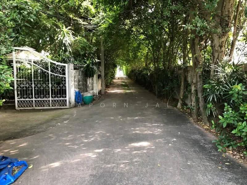 4-BR House, Bangkok, Bang Chak, Phra Khanong, Bangkok, 4 Bedrooms, 880 sqm, Single Detached House For Sale, by Sataporn Jalao, 500574600 - DDproperty.com