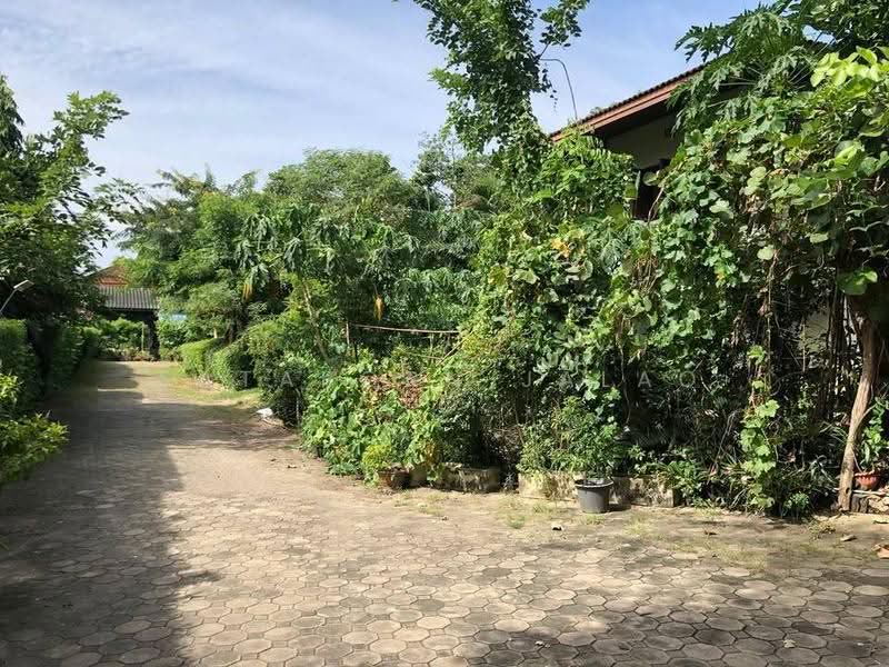4-BR House, Bangkok, Bang Chak, Phra Khanong, Bangkok, 4 Bedrooms, 880 sqm, Single Detached House For Sale, by Sataporn Jalao, 500574600 - DDproperty.com