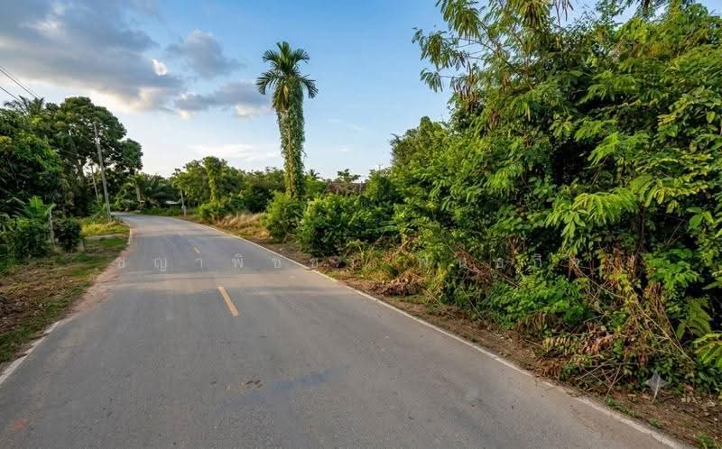 ขายที่ดินเปล่า พุนพิน สุราษฎร์ธานี, Surat Thani, Nong Sai, Phunphin, Surat Thani, , 270 sqm, Land For Sale, by ชญาพิชชา พันธกิจ, 500574817 - DDproperty.com