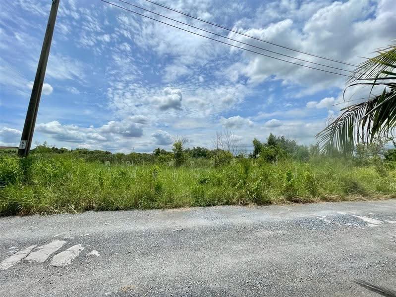 ที่ดินเปล่า 400 ตร.ว. ที่ดิน ใกล้สวนกีฬากมล FBT ซอยสุวินทวงศ์49, กรุงเทพ, ถนนสุวินทวงศ์, กระทุ่มราย, หนองจอก, กรุงเทพ, 1,600 ตร.ม., ที่ดิน ขาย, โดย คุณ พัชรนันท์ พรมพิทักษ์ (นัจข์), 500574818 - DDproperty.com