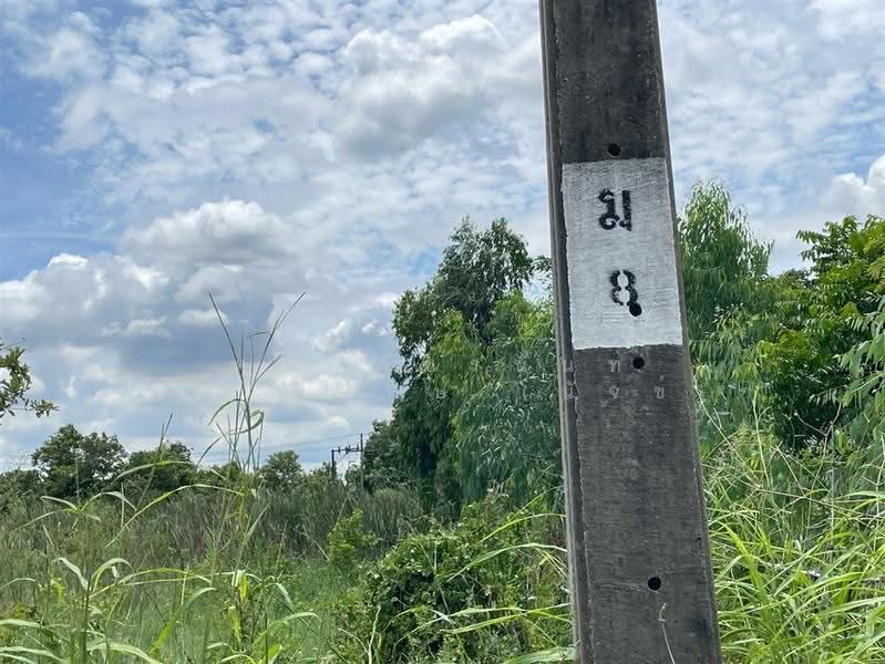 ที่ดินเปล่า 400 ตร.ว. ที่ดิน ใกล้สวนกีฬากมล FBT ซอยสุวินทวงศ์49, กรุงเทพ, ถนนสุวินทวงศ์, กระทุ่มราย, หนองจอก, กรุงเทพ, 1,600 ตร.ม., ที่ดิน ขาย, โดย คุณ พัชรนันท์ พรมพิทักษ์ (นัจข์), 500574818 - DDproperty.com