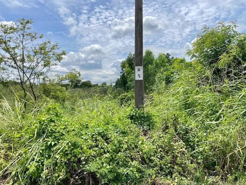 ที่ดินเปล่า 400 ตร.ว. ที่ดิน ใกล้สวนกีฬากมล FBT ซอยสุวินทวงศ์49, กรุงเทพ, ถนนสุวินทวงศ์, กระทุ่มราย, หนองจอก, กรุงเทพ, 1,600 ตร.ม., ที่ดิน ขาย, โดย คุณ พัชรนันท์ พรมพิทักษ์ (นัจข์), 500574818 - DDproperty.com