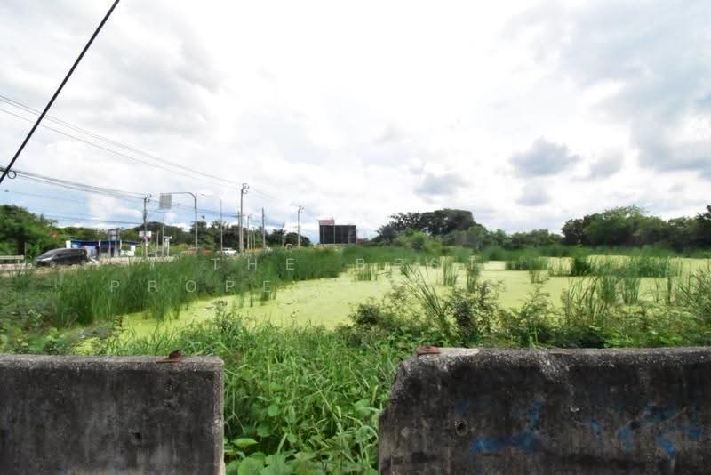 ที่ดินคลองสามวา กรุงเทพมหานคร, Bangkok, Sam Wa Tawan Tok, Khlong Sam Wa, Bangkok, , 6,809 sqm, Land For Sale, by The Best Property ญมินณ์, 500574884 - DDproperty.com