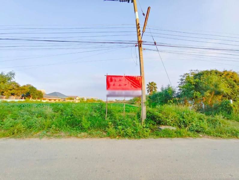 ที่ดินกำแพงแสน นครปฐม, nakhon-pathom, Tarang Phikul, Kamphaeng Saen, Nakhon Pathom, , 2,944 sqm, Land For Sale, by The Best Property อิ๋วอิ๋ว, 500574967 - DDproperty.com