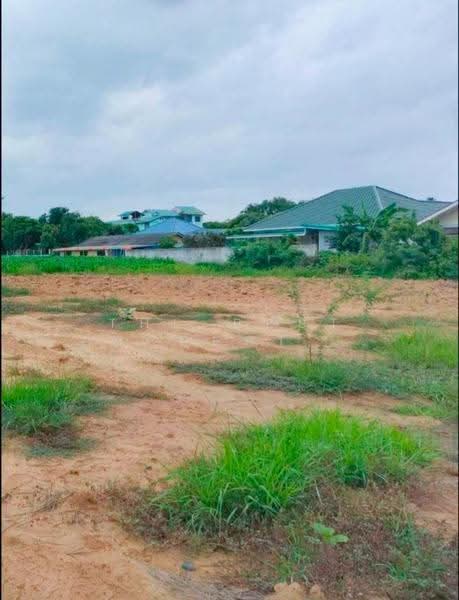 ที่ดินกำแพงแสน นครปฐม, nakhon-pathom, Tarang Phikul, Kamphaeng Saen, Nakhon Pathom, , 2,944 sqm, Land For Sale, by The Best Property อิ๋วอิ๋ว, 500574967 - DDproperty.com