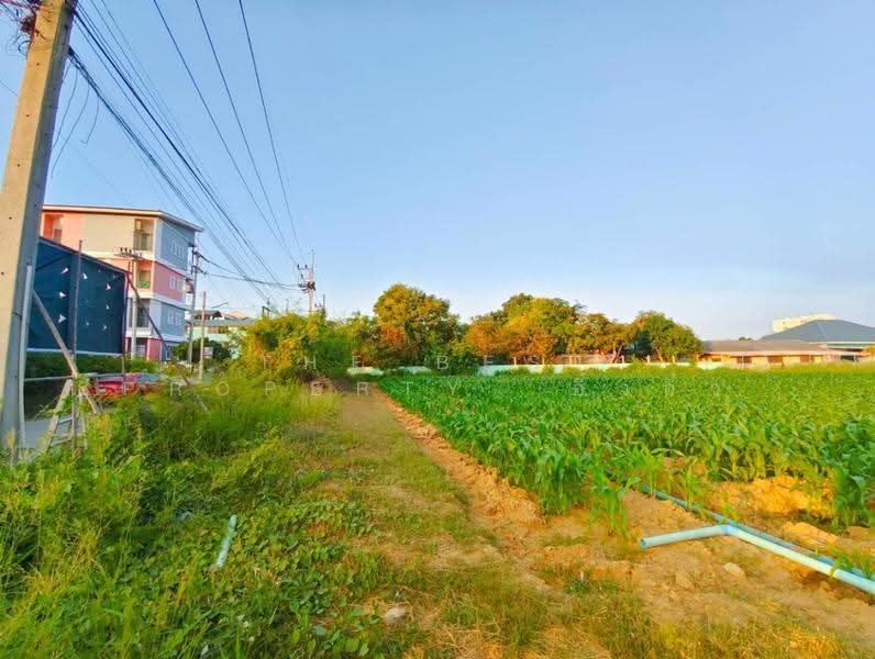 ที่ดินกำแพงแสน นครปฐม, นครปฐม, รางพิกุล, กำแพงแสน, นครปฐม, 2,944 ตร.ม., ที่ดิน ขาย, โดย The Best Property อิ๋วอิ๋ว, 500574967 - DDproperty.com