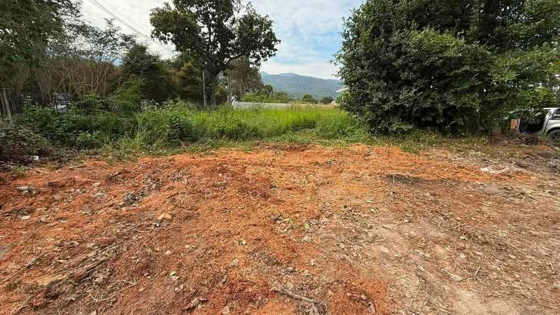 Chang Khian Land, Chiang Mai, Chang Phuak, Muang Chiang Mai, Chiang Mai, , 1,052 sqm, Land For Sale, by Shori Asset Group Co., Ltd., 500575033 - DDproperty.com
