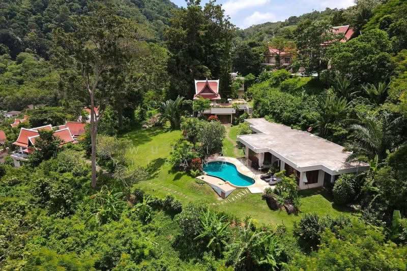 นาคาตานิวิลเลจ : Nakatani Village, ภูเก็ต, กมลา, กะทู้, ภูเก็ต, 850 ตร.ม., วิลล่า ขาย, โดย Wuttirak Kritsanamitt, 500575058 - DDproperty.com
