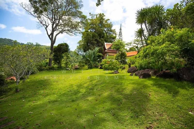 Nakatani Village, Phuket, Kammala, Kathu, Phuket, 7 Bedrooms, 850 sqm, Villa For Sale, by Wuttirak Kritsanamitt, 500575058 - DDproperty.com