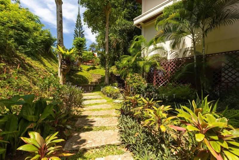 นาคาตานิวิลเลจ : Nakatani Village, ภูเก็ต, กมลา, กะทู้, ภูเก็ต, 850 ตร.ม., วิลล่า ขาย, โดย Wuttirak Kritsanamitt, 500575058 - DDproperty.com