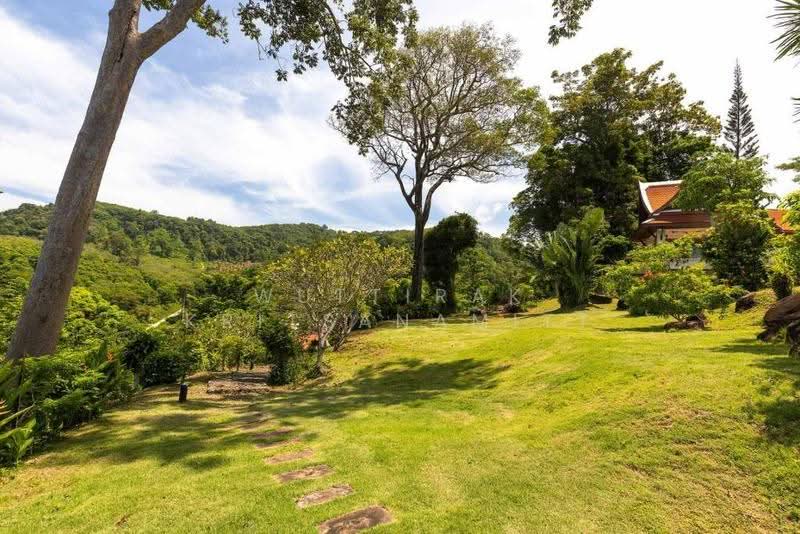 นาคาตานิวิลเลจ : Nakatani Village, ภูเก็ต, กมลา, กะทู้, ภูเก็ต, 850 ตร.ม., วิลล่า ขาย, โดย Wuttirak Kritsanamitt, 500575058 - DDproperty.com