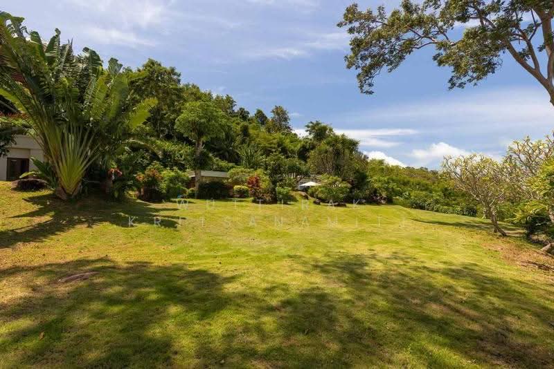 นาคาตานิวิลเลจ : Nakatani Village, ภูเก็ต, กมลา, กะทู้, ภูเก็ต, 850 ตร.ม., วิลล่า ขาย, โดย Wuttirak Kritsanamitt, 500575058 - DDproperty.com