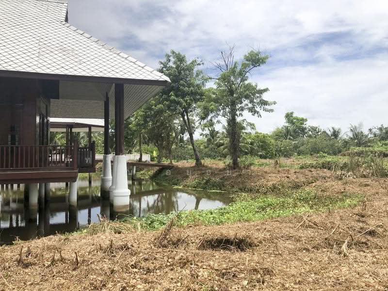 ที่ดินพร้อมสิ่งปลูกสร้าง (บ้านเดี่ยว), สมุทรสงคราม, สวนหลวง, อัมพวา, สมุทรสงคราม, 6,228 ตร.ม., ที่ดิน ขาย, โดย ภัทรนัน อิศรางกูร ณ อยุธยา, 500575185 - DDproperty.com