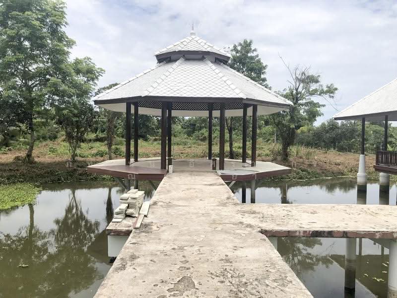 ที่ดินพร้อมสิ่งปลูกสร้าง (บ้านเดี่ยว), สมุทรสงคราม, สวนหลวง, อัมพวา, สมุทรสงคราม, 6,228 ตร.ม., ที่ดิน ขาย, โดย ภัทรนัน อิศรางกูร ณ อยุธยา, 500575185 - DDproperty.com