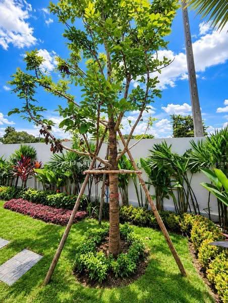 ธารธารา, เชียงใหม่, บ้านแหวน, หางดง, เชียงใหม่, 240 ตร.ม., บ้านเดี่ยว ขาย, โดย Shori Asset Group Co., Ltd., 500575646 - DDproperty.com