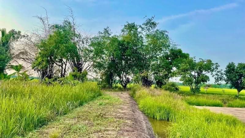 ขายที่ดินเปล่า ต.คู้สลอด อ.ลาดบัวหลวง จ.พระนครศรีอยุธยา ติดร้านอาหารซามูไรโฮม, พระนครศรีอยุธยา, คู้สลอด, ลาดบัวหลวง, พระนครศรีอยุธยา, 9,600 ตร.ม., ที่ดิน ขาย, โดย ERA Thailand, 500575664 - DDproperty.com